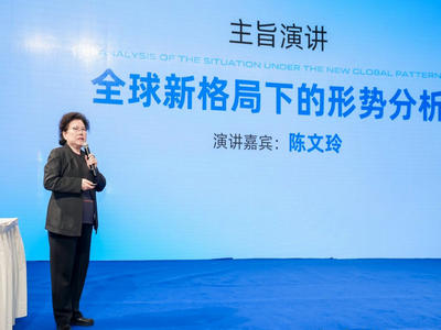 <strong>陈文玲：《全球新格局下的形势分析》</strong>